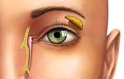 Obstrução de vias lacrimais